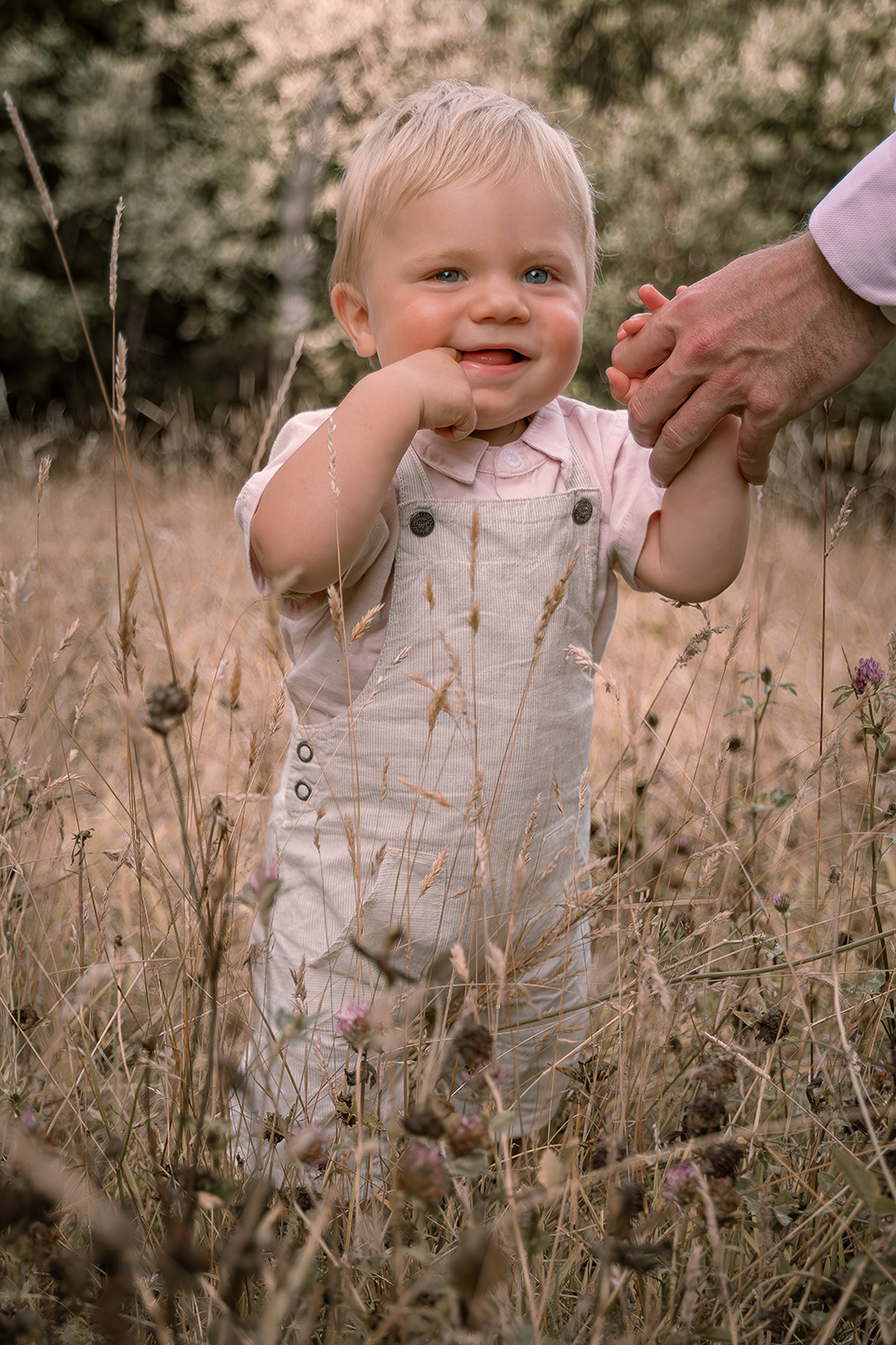 photo enfant dans la nature lors d'une séance photo famille